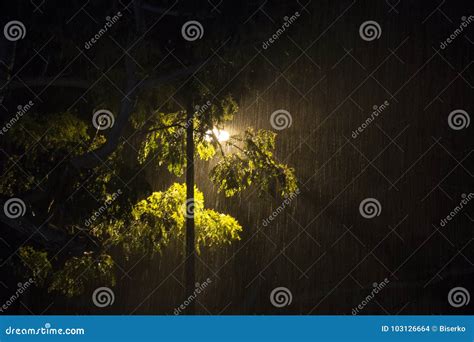 Heavy Rain during the Night Stock Photo - Image of night, asia: 103126664