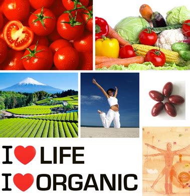 Organic Food Benefits | Interesting Facts & Current Events - Travel ...