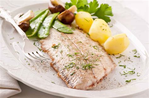 Discover Common Types Of Lean Fish