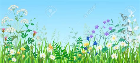 Meadow flowers clipart 20 free Cliparts | Download images on Clipground ...