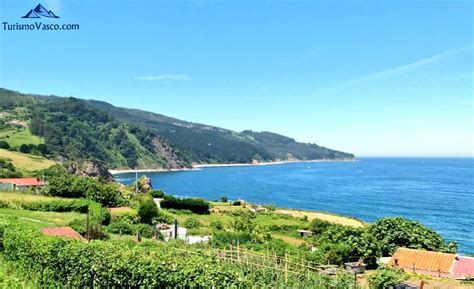 Arribolas, playa de Bermeo | TurismoVasco.com