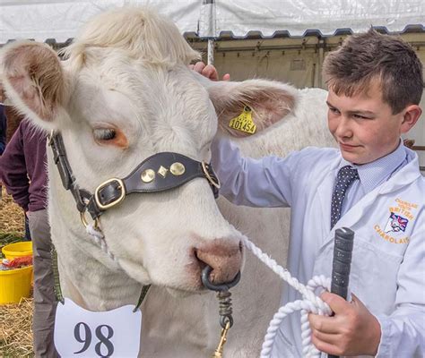 Dorset County Show will celebrate the best of rural life this weekend