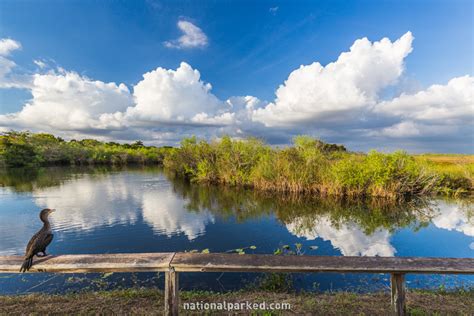 Everglades National Park Hiking Trails - National Parked