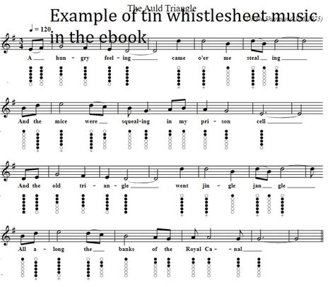 Easy To Play Tin Whistle Songs For Beginners - Irish folk songs