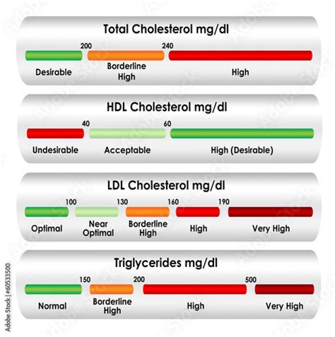 "Cholesterol chart in mg/dl units of measure" Stock photo and royalty-free images on Fotolia.com ...