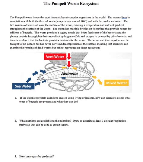 Solved The Pompeii Worm Ecosystem The Pompeii worm is one | Chegg.com