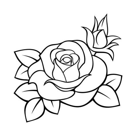 Top Rose Line Art Clip Art, Vector Graphics and Illustrations - iStock