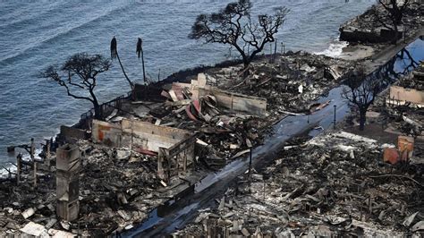 First Victims Of Maui Fire Identified: Why Identifying Fire Victims Is ...