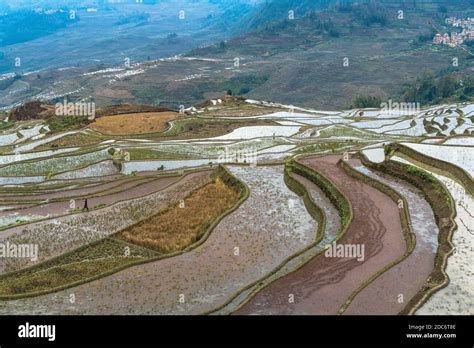 Rice terraces, Yunnan, China Stock Photo - Alamy