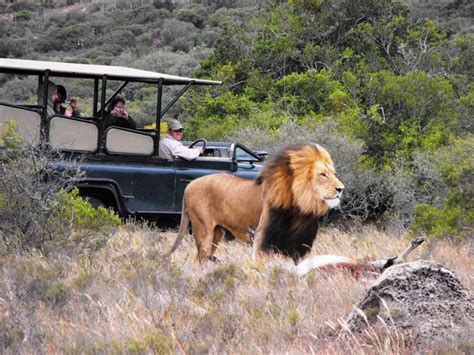 Amakhala Game Reserve Lodges, restored Farmhouses and Tented Camps. - Amakhala