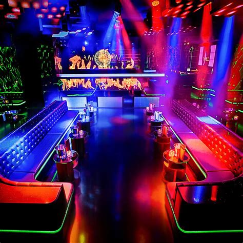 Mynt Lounge Miami Beach - Miami Street Animals | Nightclub design, Miami nightlife, Night club