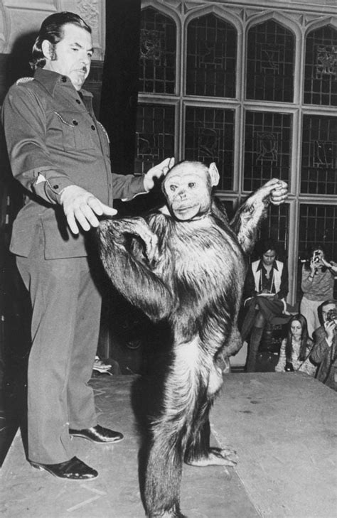 Human-chimp hybrid: ‘Humanzee’ reportedly born in lab 100 years ago