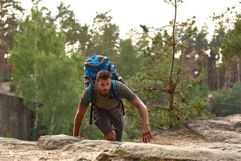 Handsome Young Caucasian Man Hiking Alone in Forest Stock Image - Image of hiker, lifestyle ...