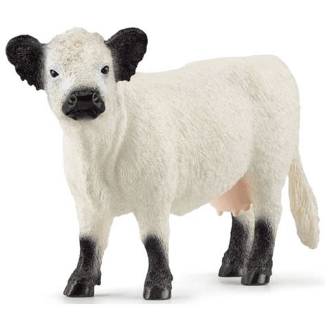 Schleich Galloway Cattle #13960 - New in 2023