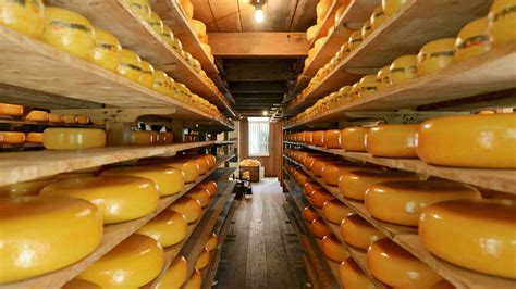 How to Age Your Cheddar Cheese - CheeseMaker.ca