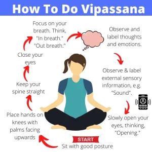 Vipassana Meditation Technique [With Script]