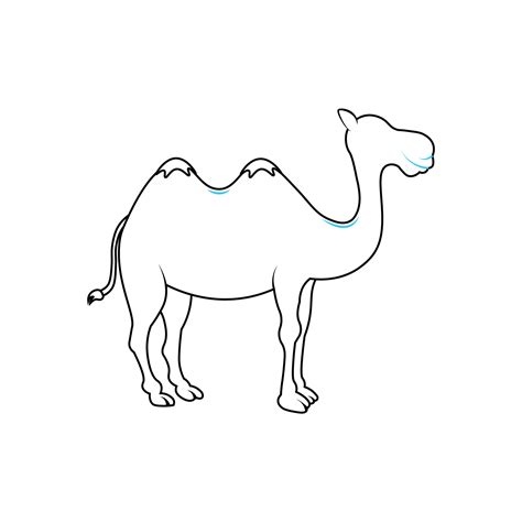 How to Draw A Camel Step by Step