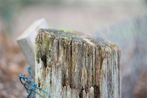 Pile Wood Fence Wooden - Free photo on Pixabay