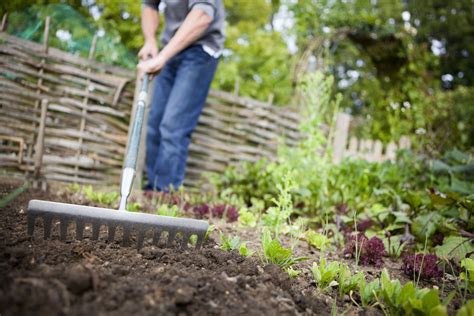 How to Improve Garden Soil With Amendments