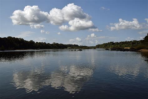 Essequibo River | Horst Vogel | Flickr