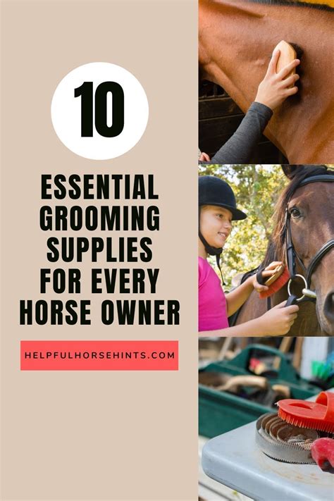 10 essential grooming supplies for every horse owner – Artofit