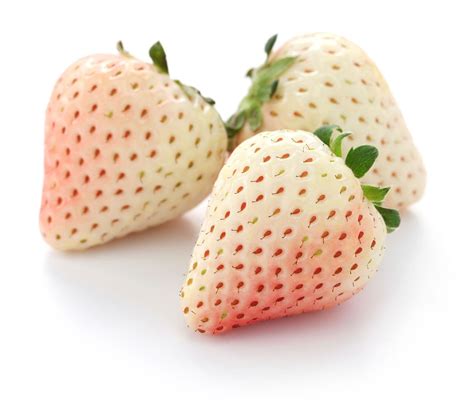 White Strawberry Varieties - Information About White Strawberry Growing | Gardening Know How