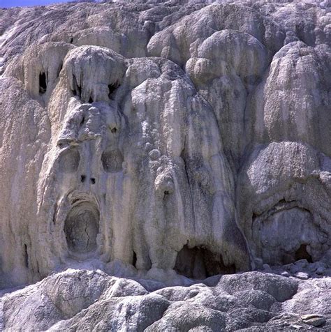 Don’t Be Deceived - Creative Examples Of Pareidolia On Horses, Rocks, And Bananas