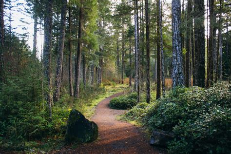 Sooke Potholes Provincial Park | Victoria Trails