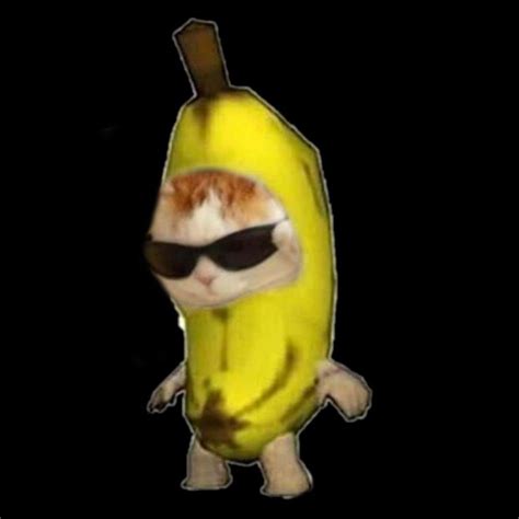 banana cat meme