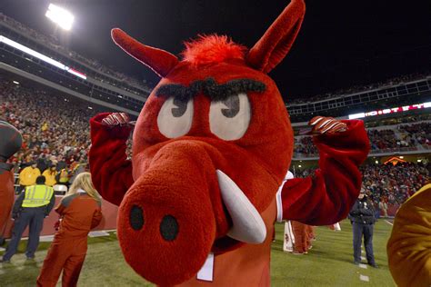 Who would win a cage match brawl between the SEC's 14 mascots?