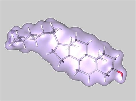 Cholesterol molecule 3D model | CGTrader