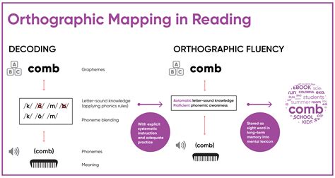 What Is Orthographic Mapping in Reading and Why Is It Important? Professional Development For ...