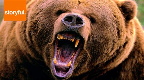 Brave Man Growls At Bear To Stop Attack (Storyful, Crazy) - YouTube