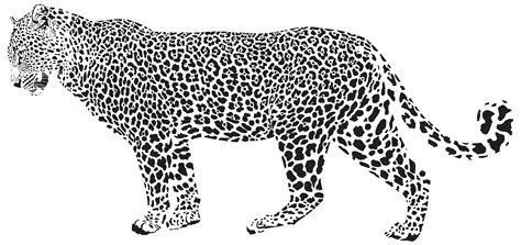 Snow leopard Cheetah Clip art - Jaguar Silhouette PNG Transparent Clip Art Image png download ...