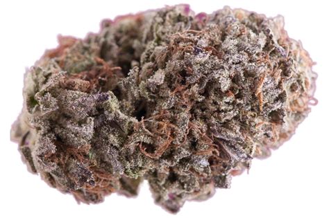 Purple Kush Indica Marijuana Strain