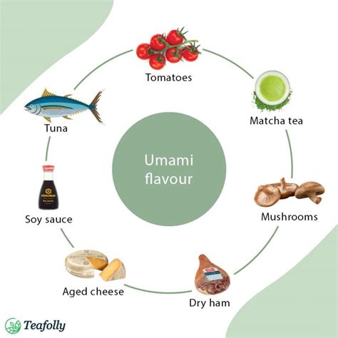 Meet Umami: The 5th dimension of taste • Teafolly