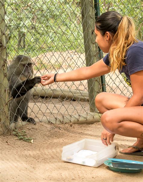 Monkey sanctuary volunteer experience in South Africa - Voluntouring.org