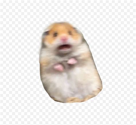 Hamster Stickers - Sticker Hamster Emoji,Hamster Face Emoji - free transparent emoji - emojipng.com