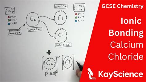 Ionic Bonding of Calcium Chloride - GCSE Chemistry | kayscience.com ...