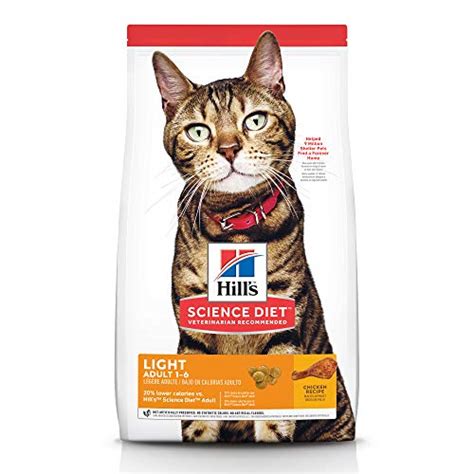 Best Cat Food for Weight Loss 2021 - Don't Let Your Cat Get Fat!