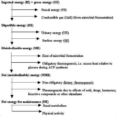 Equation For Heat Energy - Tessshebaylo