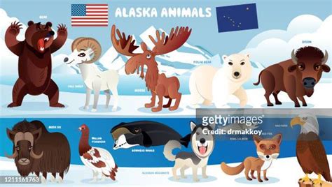 100 Moose Cartoon Characters Stock Photos, High-Res Pictures, and ...