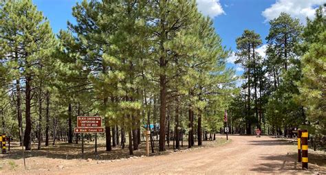 7 White Mountain Camping Spots to Experience Eastern Arizona