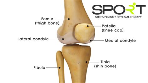 Knee Pain Location Chart | SPORT Orthopedics | Dallas and Frisco