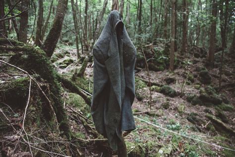 This Is The Dark Side Of Aokigahara Forest AKA The Suicide Hotspot Of ...