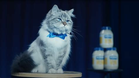 Hellmann's commercial for Super Bowl presents "Mayo Cat"