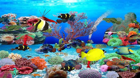 Marine aquarium screensaver free download - liftulsd