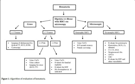 general-practice-Algorithm-evaluation