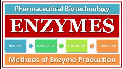 ENZYMES | METHOD OF ENZYME PRODUCTION | GENERAL CONSIDERATION | CULTURE MEDIA | FERMENTATION ...