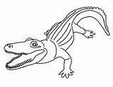 Cartoon Alligator Coloring Pages At GetColoringscom  Free Printable sketch template